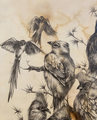 13 Mousebirds Print