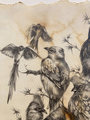 13 Mousebirds