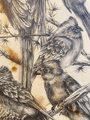13 Mousebirds Print