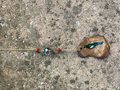 Sun Catcher - Narina Trogon