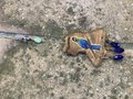 Sun Catcher - Hartlaub's Turaco