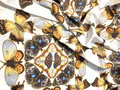 Butterfly Kaleidoscope Fabric - Large Design