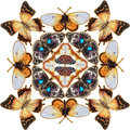 Kaleidoscope Cushion