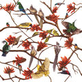 Tea Towel - Coral tree