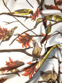 Coral Tree Fabric - Medium design
