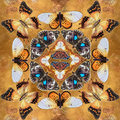 Butterfly Kaleidoscope Table Cloth