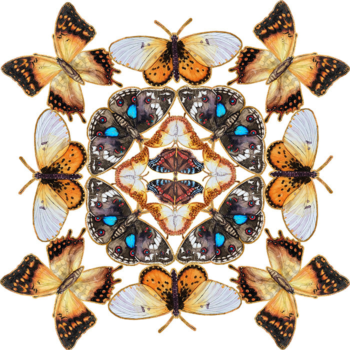 Butterfly Kaleidoscope Fabric - Large Design