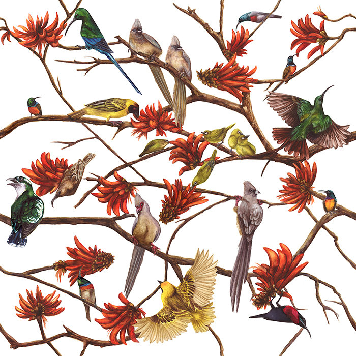 Tea Towel - Coral tree