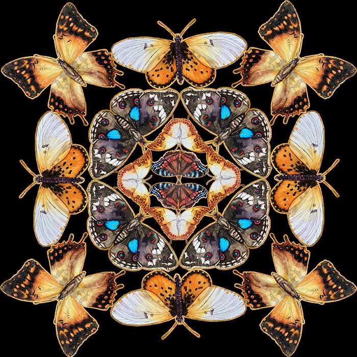 Kaleidoscope Cushion