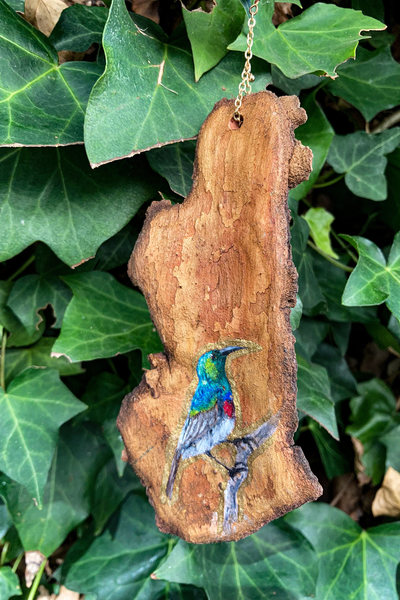 Sun Catcher: Double Collared Sunbird