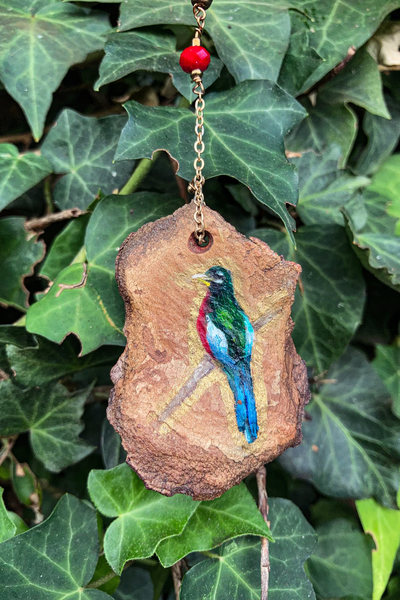 Sun Catcher - Narina Trogon