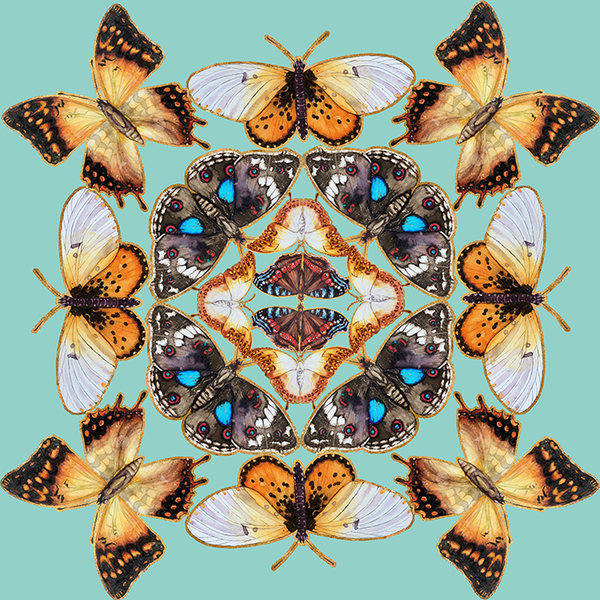 Butterfly Kaleidoscope Fabric - Medium Design